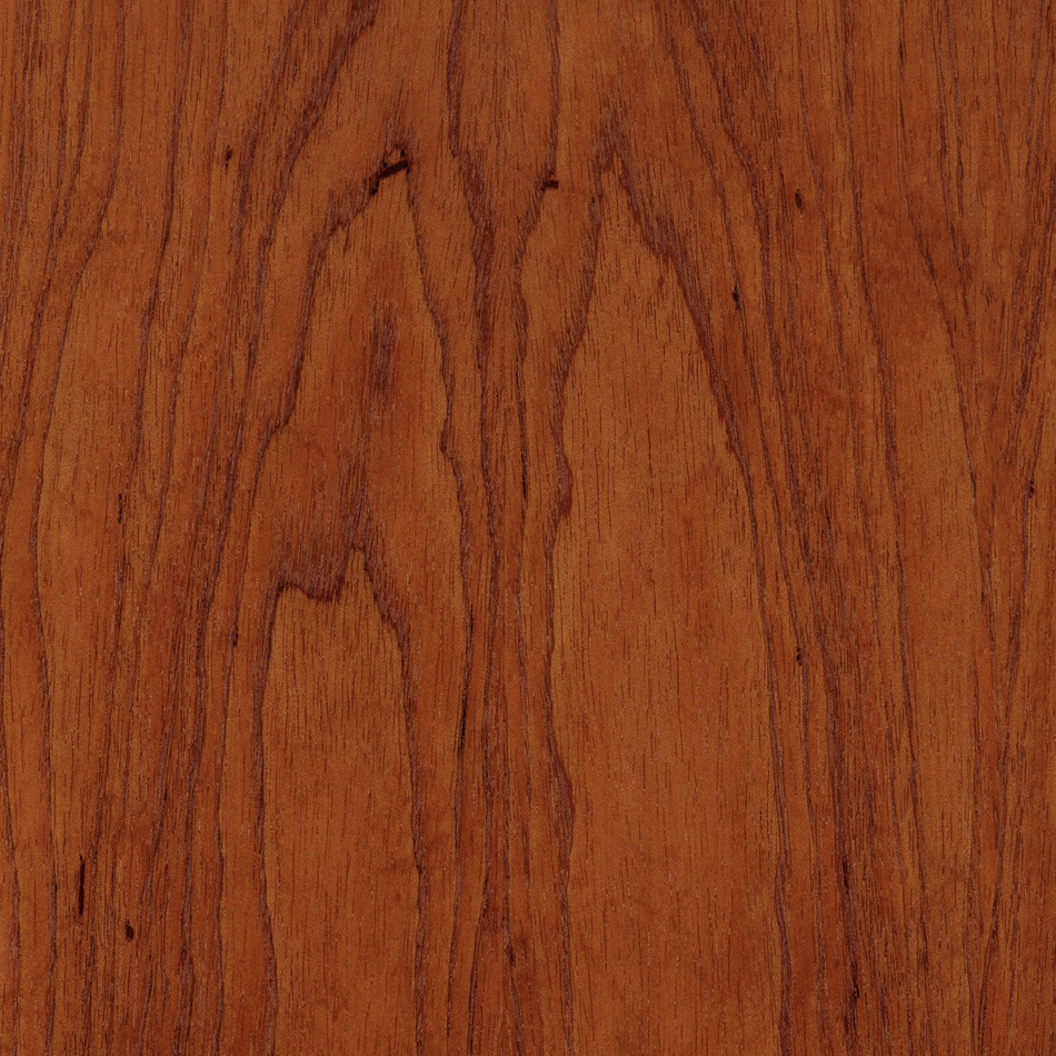 Cedar Australian Red