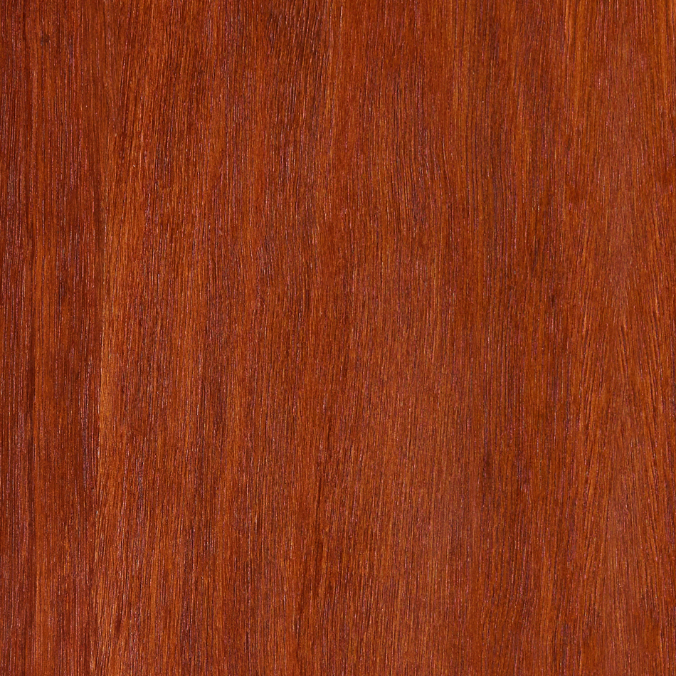 Gum Forest Red