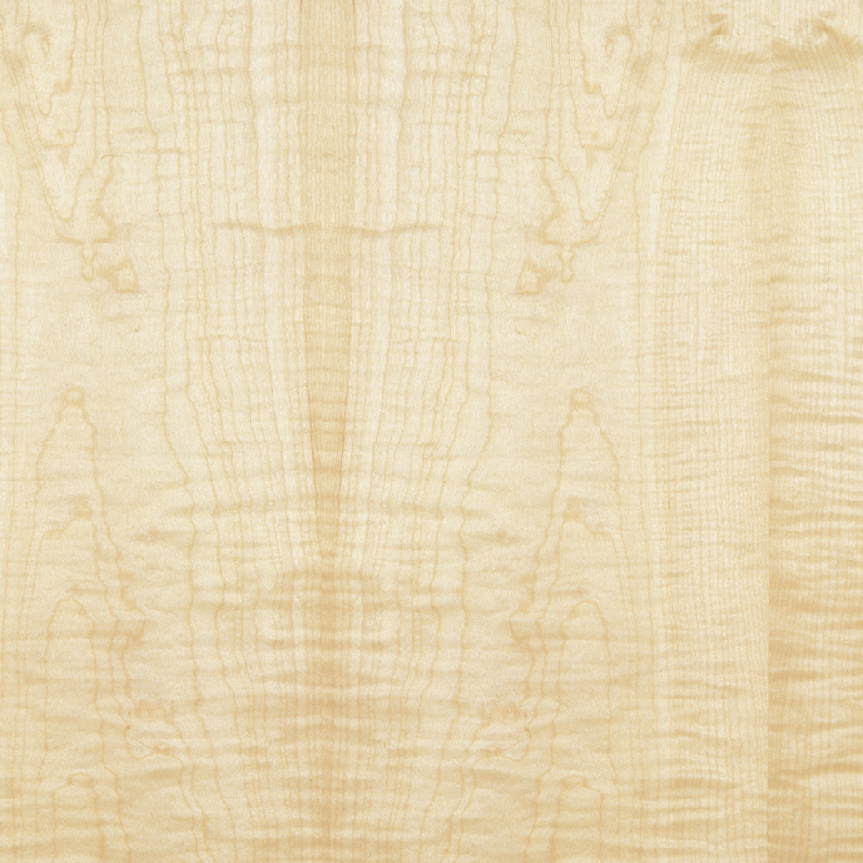 Sycamore Figured Crown